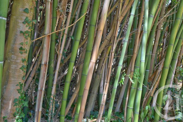 maison à vendre - 13 pièces - 320.0 m2 - MOURS ST EUSEBE - 26 - RHONE-ALPES - Century 21 Orcalla Immobilier