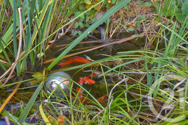 maison à vendre - 4 pièces - 90.0 m2 - ROMANS SUR ISERE - 26 - RHONE-ALPES - Century 21 Orcalla Immobilier