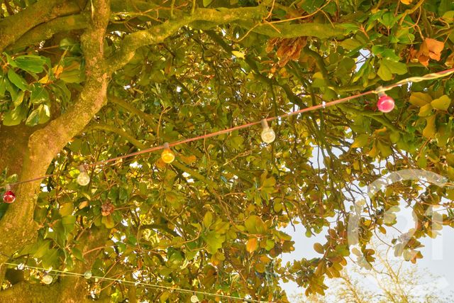 maison à vendre - 7 pièces - 178.1 m2 - ROMANS SUR ISERE - 26 - RHONE-ALPES - Century 21 Orcalla Immobilier